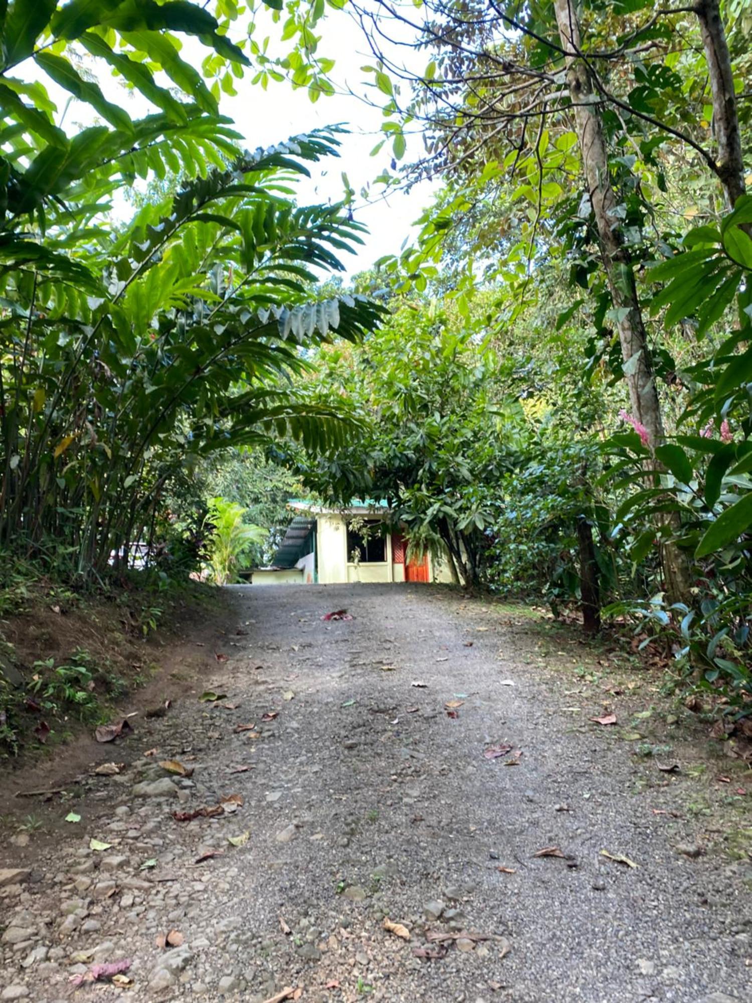 Campo Verde House, La Fortuna De San Carlos Extérieur photo